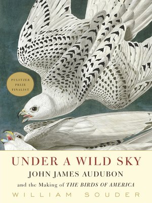 cover image of Under a Wild Sky
